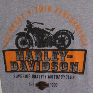 Harley-Davidson Gray Short Sleeve Tee Men’s Large